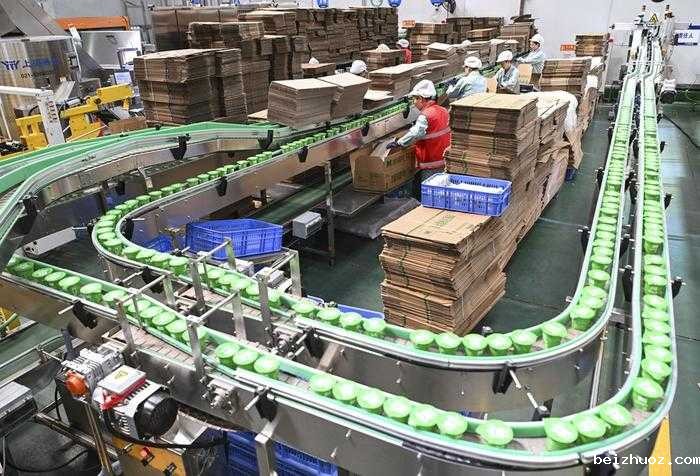 工厂高效生产的秘密：一文掌握包装设备的正确使用与维护技巧