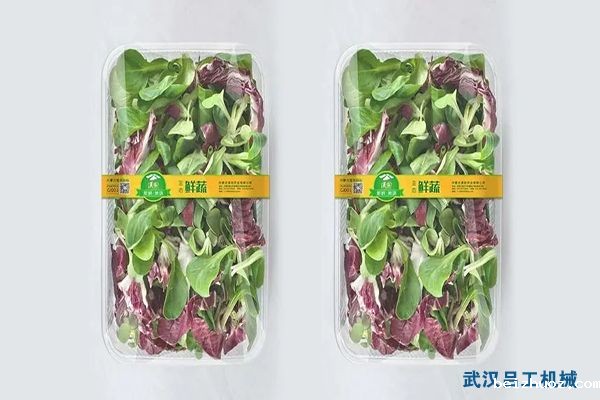 蔬菜水果采用气调包装机进行气调锁鲜包装有哪些优点