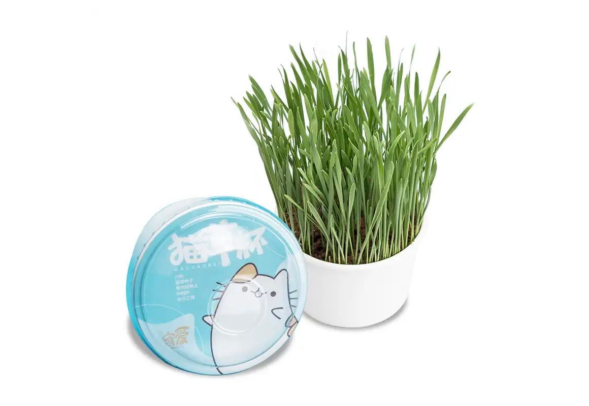 猫草杯01.jpg